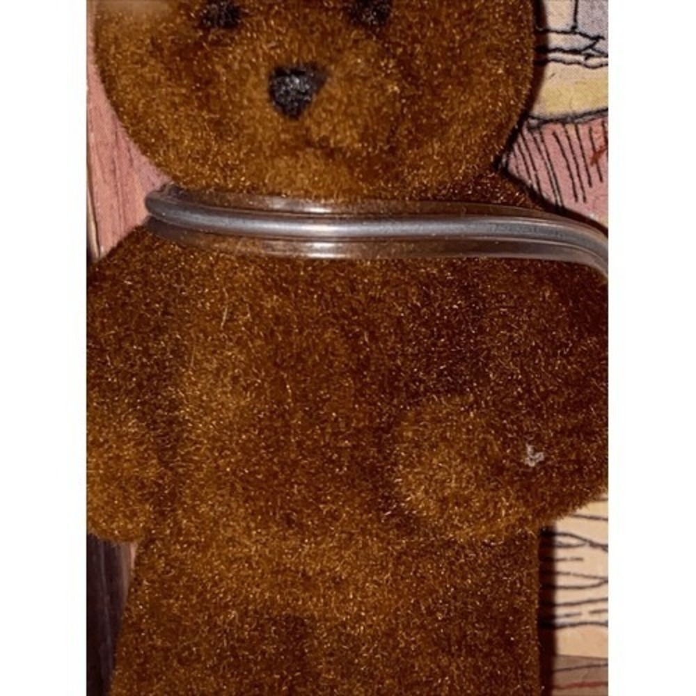Vintage Cinnabears Dill Collectible Stuffed Animal Bear Plush With 2 Small Bears